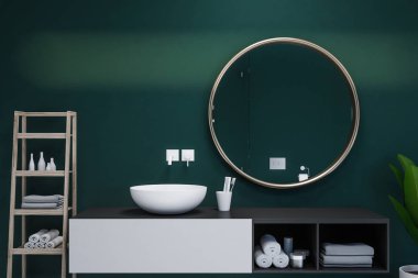 Siyah ve beyaz makyaj birim üzerindeki yuvarlak ayna üzerinde beyaz lavabo duran yuvarlak. Zümrüt Banyo saksılı bir bitki ve raflar. 3D render