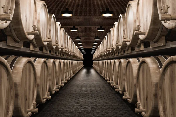 Brick Wine Cellar Black Honeycomb Floor Pattern Rows Wooden Kegs — Stock Photo, Image