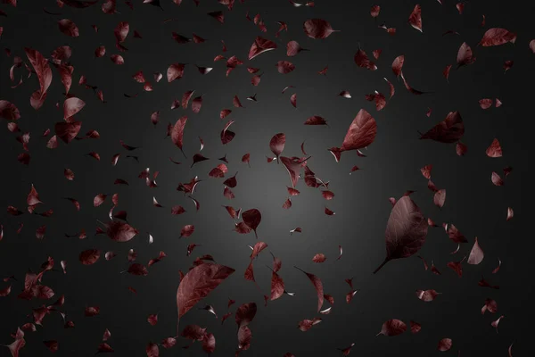 Red leaves flying in the wind over black background. Artistic and creative lifestyle concept. 3d rendering