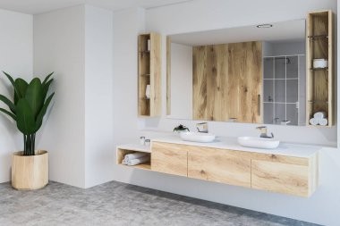 Modern banyo köşesinde beyaz duvarlar, beton zemin, çift lavabo ahşap tezgah ve büyük ayna üzerinde duruyor. Bir tencereye bitki. 3D render