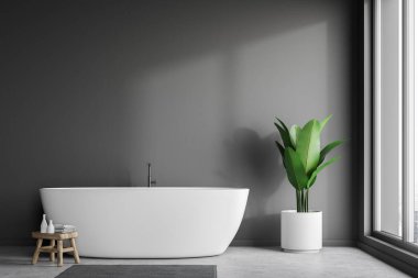 Minimalist banyo iç Gri duvarlar, beton zemin, beyaz küvet ve pencerenin yakınındaki saksılı bitki. 3D render alay