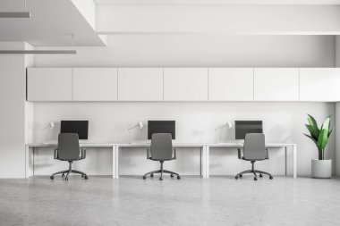 Beyaz duvarlar, beton zemin, Bilgisayar masaları ile onları ve Saksı bitki köşedeki masaüstlerinde satırı ile modern ofis iç. 3D render