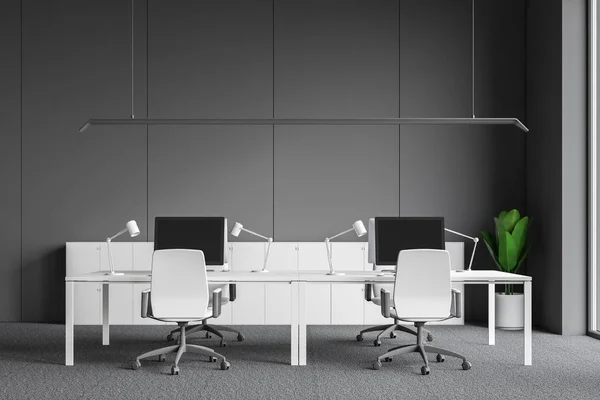 Interior Open Space Office Gray Walls Carpet Floor Rows White — Stock Photo, Image