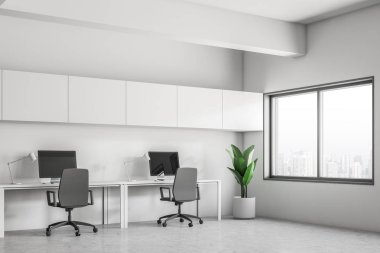 Onları ve Saksı bitki köşedeki modern ofis köşede beyaz duvarlar, beton zemin, satır ile masaüstü bilgisayar masalarının. 3D render
