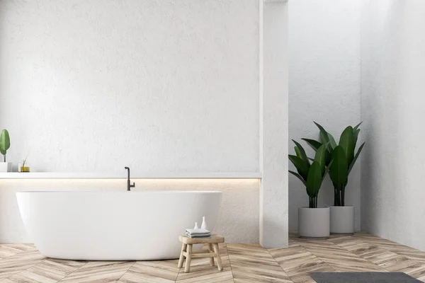 现代浴室的内部配有白色墙壁 木地板和白色浴缸 位于墙上的架子旁 在角落3D 渲染的盆栽植物 — 图库照片