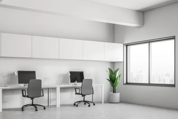 Modern office corner with white walls, concrete floor, row of computer desks with desktops on them and potted plant in the corner. 3d rendering