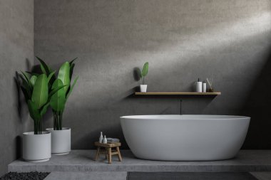 Modern banyo Gri duvarlar, beton zemin, beyaz küvet ve kremler ve şampuan ile raf iç. Saksı bitkileri. 3D render