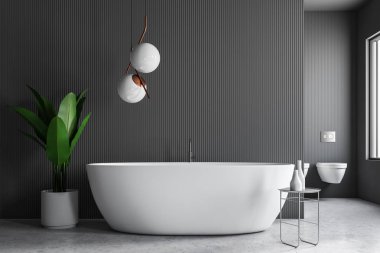 Modern banyo Gri duvarlar, taş zemine, şampuan ile sandalye yanında beyaz küvet durduğunu ve Saksı bitki iç. 3D render