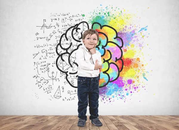 Smiling thinking little boy wearing white shirt and blue jeans standing near concrete wall with colorful brain sketch drawn on it. Concept of creative thinking