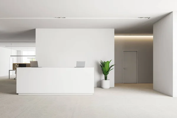 Office Reception Area White Walls Carpet Floor White Reception Desk — Stock Photo, Image