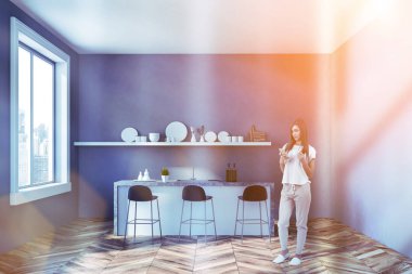 Gri duvarlar, ahşap zemin, cityscape, gri ve beyaz bar tabureleri ile ve kaplar ile raf ile pencere ile minimalist mutfak iç kadında. Tonlu görüntü