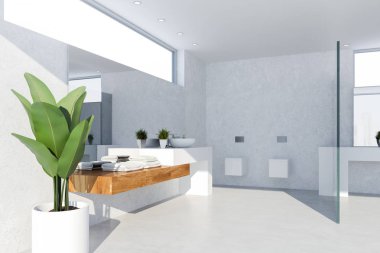 Modern banyo beyaz duvarlar, beton ve ahşap zemin, beyaz ve ahşap tezgah üzerinde beyaz lavabo duran ve iki tuvalet iç. 3D render