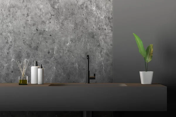 Primer Plano Del Lavabo Baño Gris Con Planta Botellas Con — Foto de Stock