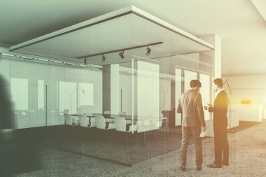 İşadamları ofisinin toplantı Oda köşe beyaz ve cam duvarlı, gri halı zemin ve beyaz sandalye ile uzun gri tablo üzerinde konuşuyor. Çift tonlu görüntü pozlaması bulanıklık