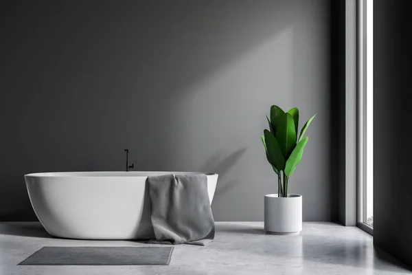 阁楼浴室的内部有灰色的墙壁 水泥地板 白色浴缸与灰色毛巾挂在它和大盆栽植物 — 图库照片