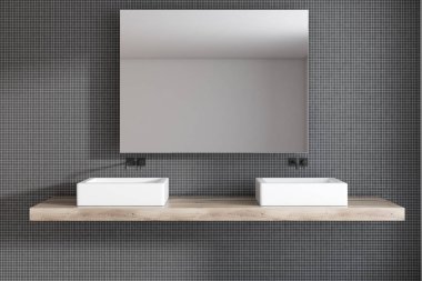 Gri banyo iç çift lavabo