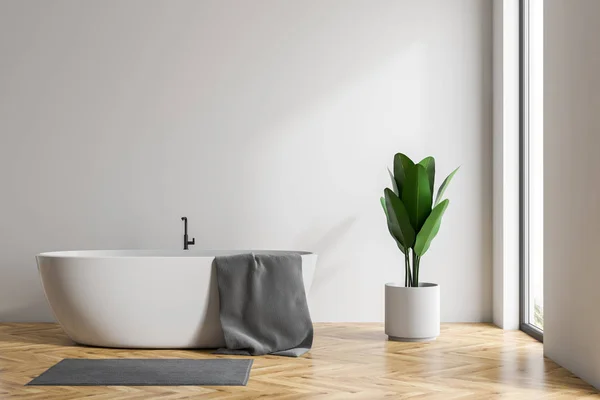 Интерьер ванной комнаты на чердаке с тюбиком — стоковое фото
