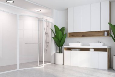 Beyaz banyo köşesi, çift lavabo ve duş