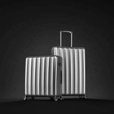 Siyah üzerine iki gümüş çanta