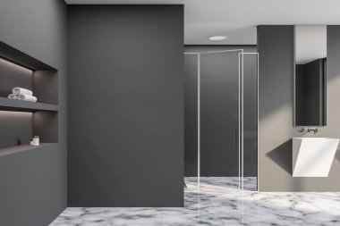 Gri banyo lavabo ve duş