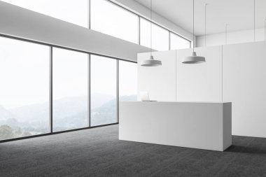 Resepsiyon ile panoramik beyaz ofis