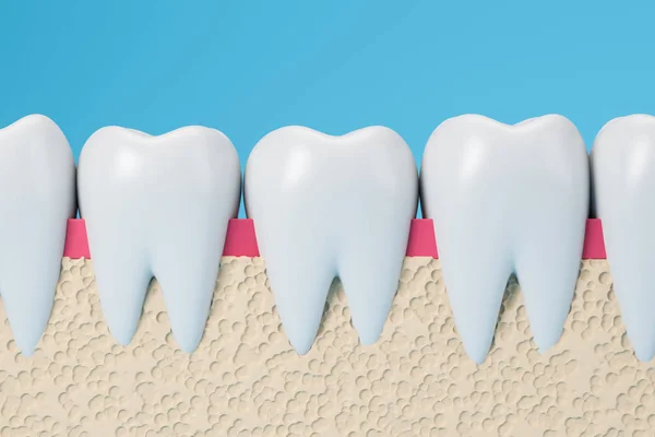 Row of healthy teeth and gums — Stock Photo, Image