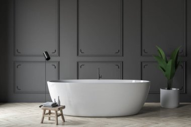 Gri banyo iç, beyaz küvet