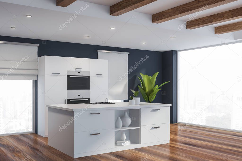 Modern style kitchen interior.