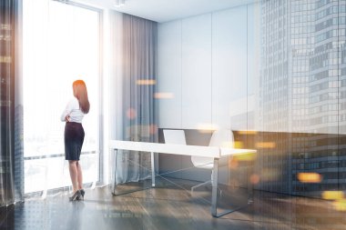 İşkadını ofis iç