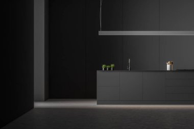 Modern siyah tarzı mutfak iç.