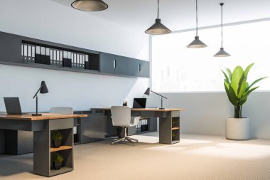 Şık beyaz ve gri yönetici ofisi