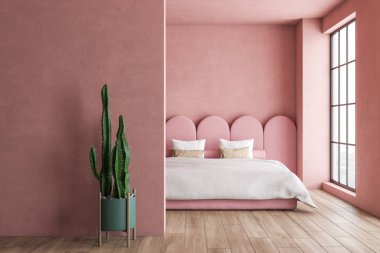 Kaktüs ile minimalist pembe yatak odası iç