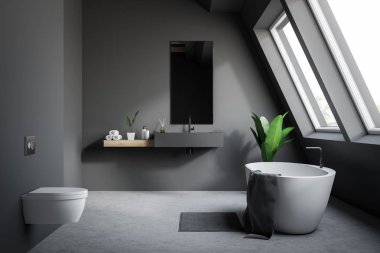 Tuvalet ile Tavan arası gri banyo