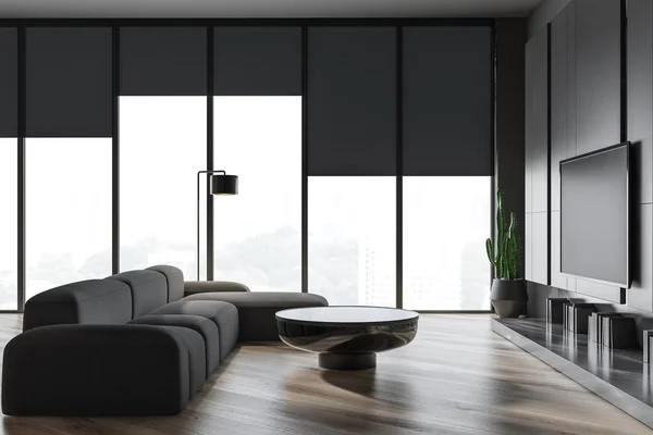 Living room interior with gray sofa and TV