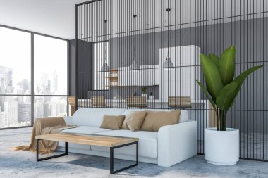 Gray oturma odası ve mutfak köşesi