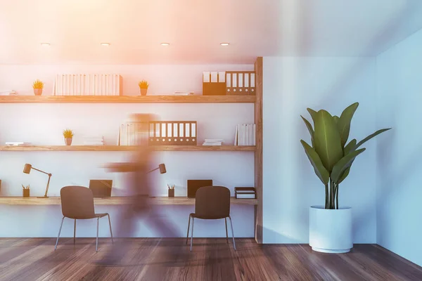 Man går i vit kontors arbets plats med växt — Stockfoto