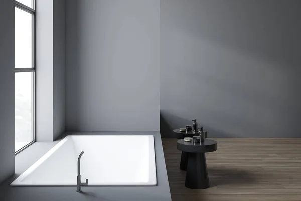 Minimalistic gray bathroom interior with tub