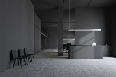 Gri resepsiyon ve bekleme odası