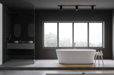 Küvet ve duş ile gri banyo iç