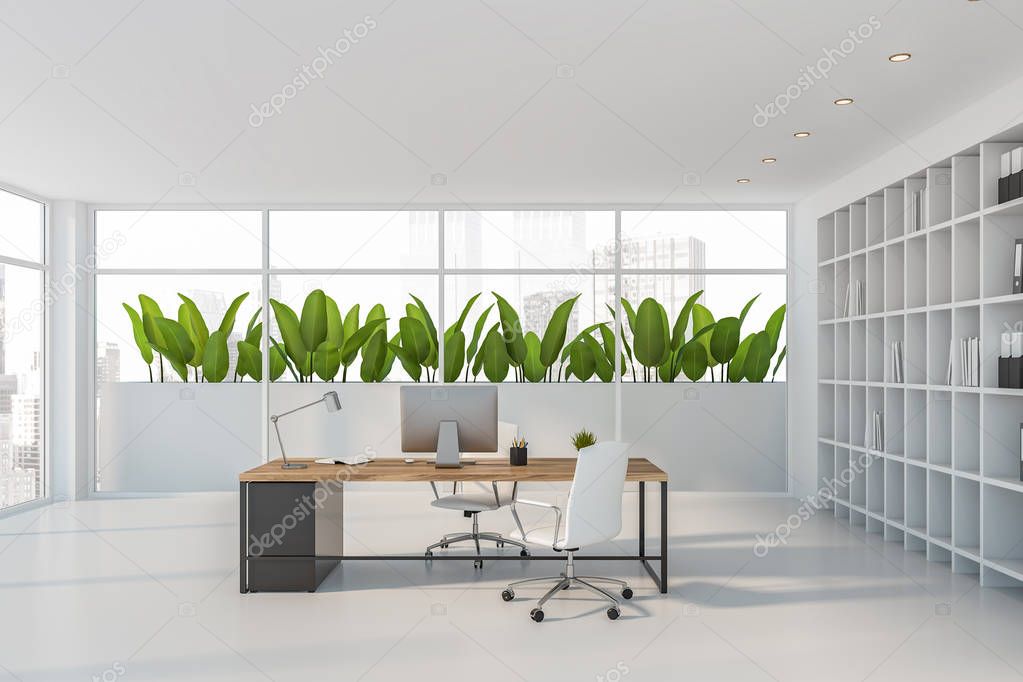 Empty white CEO office interior with plants