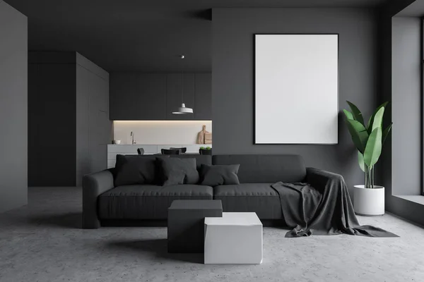 Cinza sala de estar e cozinha interior — Fotografia de Stock