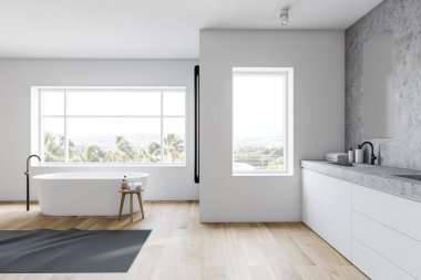 Beyaz ve taş çatı banyo iç