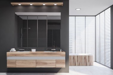 Küvet ve lavabo ile gri banyo iç