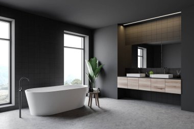 Gri banyo köşesi, küvet ve lavabo