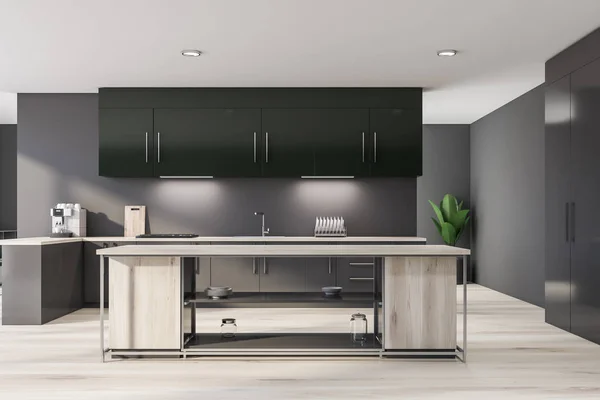 Gray and green luxury kitchen interior — Stock Photo, Image