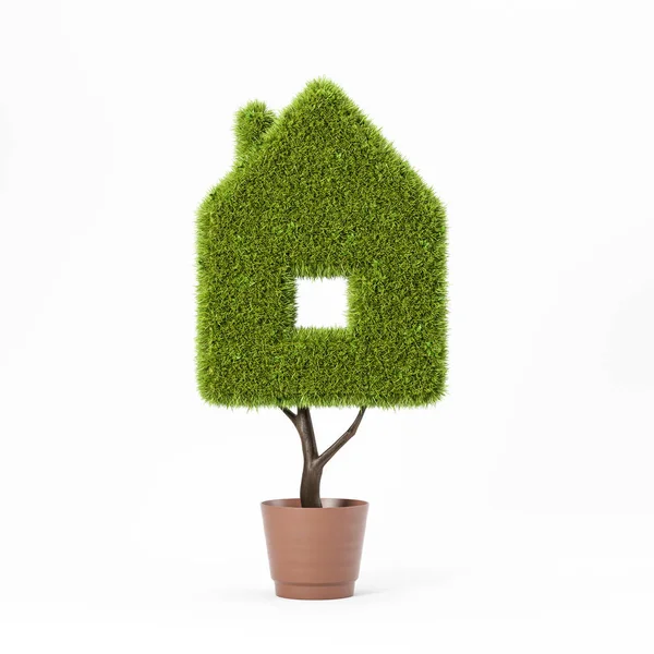 Growing house symbol in pot, mortgage — Stock Photo, Image