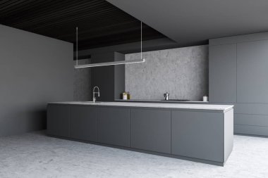 Cozy gray and concrete kitchen with countertops