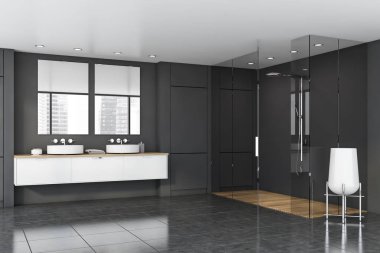 Lavabo ve duş ile gri banyo köşesi