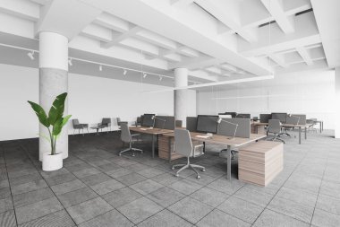 Beyaz duvarları, halı döşemeleri, taş sütunları, gri sandalyeli ahşap bilgisayar masaları ve dinlenme odası olan modern danışmanlık şirketinin köşesi. 3d oluşturma