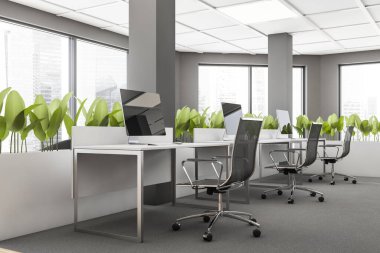 Corner of loft open space office with gray walls, carpeted floor, rows of white computer tables with metal chairs and white flower beds. Window with blurry cityscape. 3d rendering clipart